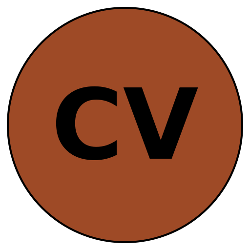 CareerVision