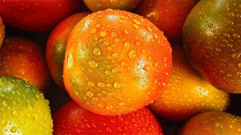 Fruits and Vegetables